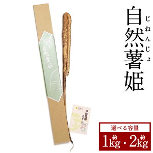 yӂ邳Ɣ[ŁzRP 1kg 2kg R R ˂񂶂 ܂ }C  _  B 퉷 Y 啪 啪Y 啪 |cs  ys:N4{`11