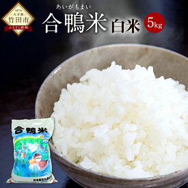 【ふるさと納税】〈令和7年産〉 合鴨米 白米 5kg 送料無料 ナツホノカ うるち精米 祖母山 ミネラル 天然地下水 大分県産【2025年10月上旬～2026年10月上旬発送予定】