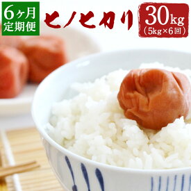 【ふるさと納税】【定期便6ヶ月】ヒノヒカリ 5kg×6ヶ月 合計30kg 大分県産 ひのひかり 精米 米 国産 九州産 送料無料