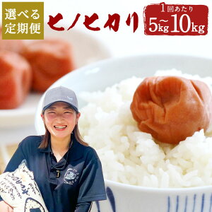 yӂ邳Ɣ[ŁzyIׂցzqmqJ 5kg^10kg 3ցiv15kg`30kgj ܂ 6iv30kg`60kgj Iׂe 啪Y Ђ̂Ђ   Y BY y2025N11
