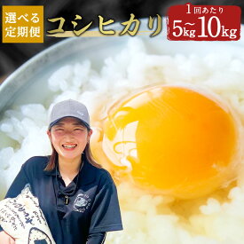 【ふるさと納税】【選べる定期便】コシヒカリ 5kg／10kg 3ヶ月定期便（合計15kg～30kg） または 6ヶ月（合計30kg～60kg） 選べる容量 大分県産 こしひかり 精米 米 国産 九州産 竹田市産 送料無料【2025年10月下旬発送開始】
