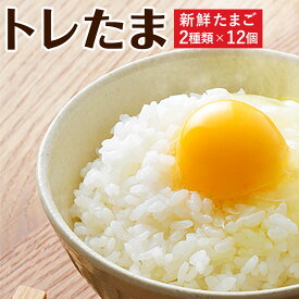 【ふるさと納税】トレたま6個×2P&平飼いプレミアム卵6個×2P 24個 大分県産 九州産 卵 たまご セット 冷蔵 送料無料