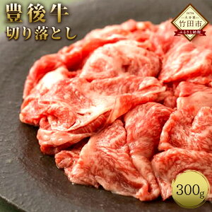 yӂ邳Ɣ[Łzʌ 啪|cY a ؂藎Ƃ 300g a{I  a Ⴊ  BY Y Ⓚ  yVX[p[SALE 9J