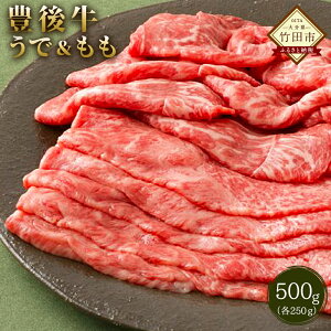 yӂ邳Ɣ[Łzʌ 啪|cY a Ł Ăp 500g a{I  aEf  BY Y Ⓚ  yVX[p[SALE 9J