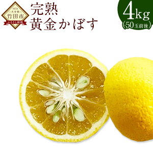 yӂ邳Ɣ[Łzy2025N11{菇zʏ`Ղ n ڂ ʌ聄 4kg 50ʑO 啪 |cs ڂ J{X  t[c k  
