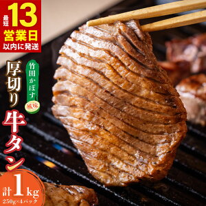yӂ邳Ɣ[Łzy13cƓȓz|cڂ ؂ ^ 250g×4pbN v1kg  XCX ē BBQ ڂ  Ⓚ B 啪 |cs  yVX[p[SALE 9J