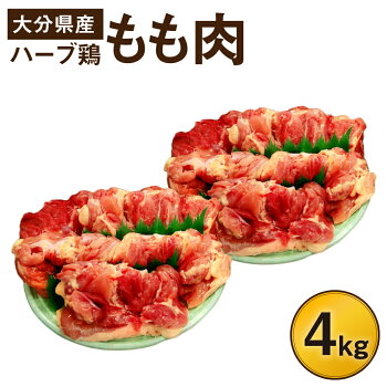記事番号:35704/アイテムID:320557の画像