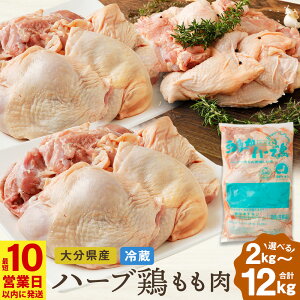 yӂ邳Ɣ[Łzy10cƓȓzqIׂeʁrn[u{ 2kgE4kgi2kg×2܁jE12kgZbgi2kg×6܁j 2kg Ɩp 啪Y {  ① Y { { {  