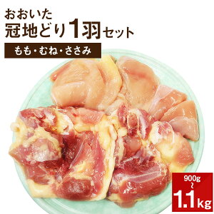 yӂ邳Ɣ[Łznǂ 1HZbg 900g`1.1kg 啪Y Y BY { Ƃ  ނ˓  ①  yVX[p[SALE 9J
