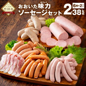 【ふるさと納税】おおいた味力 ソーセージセット 計2.38kg 6種 12パック 詰め合わせ 詰合せ バラエティーセット 地域産品 ソーセージ ウインナー ボローニャ フランクフルト ベーコン 粗挽き 加工品 加工肉 冷凍 九州産 送料無料