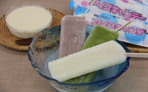 【ふるさと納税】ミルクセーキ ミニ サイズ セット 16個入 アイス キャンデー