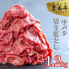 【ふるさと納税】1.2kg おおいた 豊美牛 バラ 切り落とし 牛肉 切落し