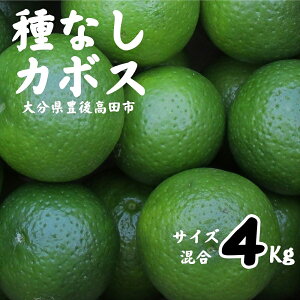 yӂ邳Ɣ[Łzs\ Ȃ J{X 4kg ʕ  t[c Y  J{X k 畨   Ă Yn  B 啪 햳ڂ ӂ邳Ɣ[ 