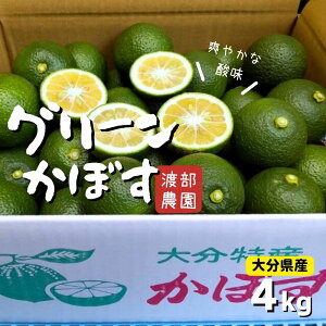 yӂ邳Ɣ[Łz s\ ڂ 4kg  O[J{X In  tbV { Yn 啪Y J{X k 畨 