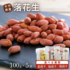 【ふるさと納税】落花生 ピーナッツ 100g×5袋 選べる種類【 素煎り ／ 塩煎り ／ 殻煎り 】 大分県産 豆 詰合せ ナッツ 小分け らっかせい おつまみ おやつ ぶんごたかだ特製落花生 国産 お取り寄せ おかし ふるさと納税 送料無料 返礼品 お礼 ギフト
