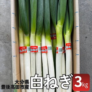 yӂ邳Ɣ[Łzs\ lM ˂  K ˂ lM 3kg Y 啪Y  L㍂csY