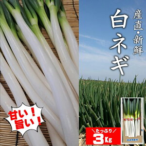 yӂ邳Ɣ[Łzs\ Yn lM 3kg ˂  lM lM ˂ ˂ K VN Y {gbvNX̎Yn L㍂csY B 啪Y Â    ӂ邳