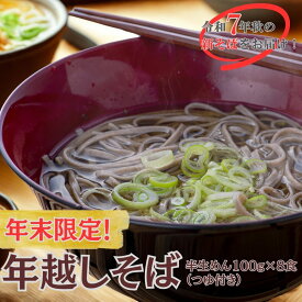 【ふるさと納税】年越しそば 用 R7秋 新そば 豊後高田そば（100g×8食・つゆ付） 12/17~28配送 年末 年内配送 なまそば 乾麺 年越し 送料無料 年内発送