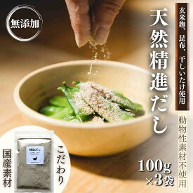 【ふるさと納税】天然 精進 だし 100g×3袋 無添加 国産 素材 玄米 麹 昆布 干 しいたけ