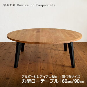 yӂ邳Ɣ[Łz2TCY@A_[ނƃACAr̊ی^[e[ui90cm^80cmj@|@L㍂cs@Ƌ@