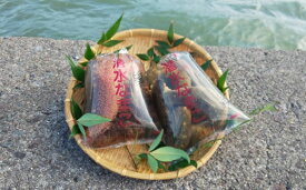 楽天市場 赤 ナマコの通販