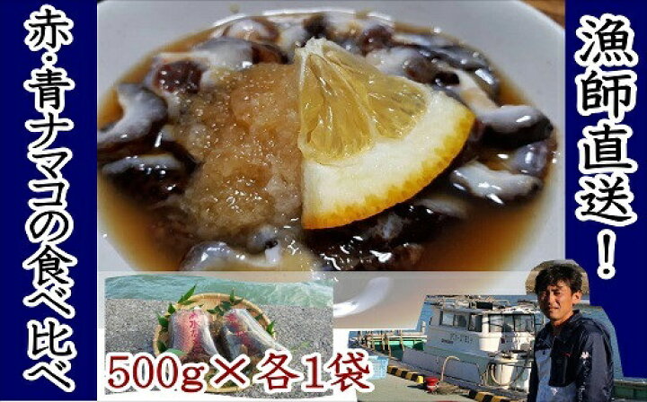 楽天市場 ふるさと納税 修福丸ん 赤 青 ナマコ の 食べ比べ 各 1袋 赤なまこ 青なまこ 産地直送 海鼠 先行予約 大分県豊後高田市