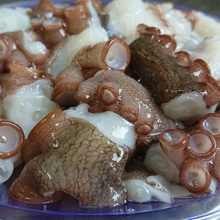 楽天市場 ふるさと納税 船上活締め 生真ダコ ぶつ切り 0g 5p 新鮮 マダコ ぶつ切り 冷凍 タコ たこ 蛸 真空パック 小分け 大分県豊後高田市