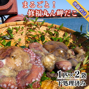 yӂ邳Ɣ[Łz^R }_R  1.2kg ܂邲 2C ^ 2t ς Yn C  ^ pbN 
