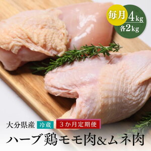 yӂ邳Ɣ[Łz{   ނ˓ 啪Y n[u{ ye2kg^3ցzv12kg Ɩp ① z Y B { { l   3 