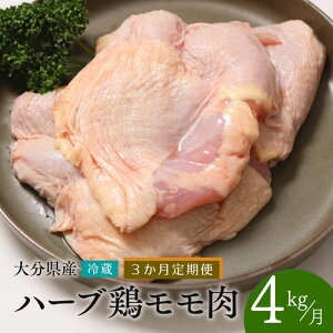 yӂ邳Ɣ[Łz{   啪Y n[u{ y4kg^3ցzv12kg Ɩp ① z Y B { {   3