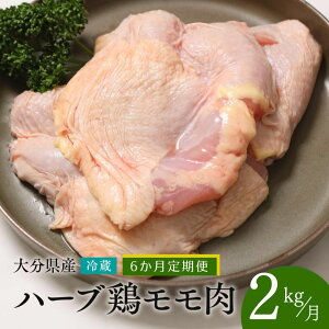 yӂ邳Ɣ[Łz{   啪Y n[u{ y2kg^6ցzv12kg Ɩp ① z Y B { { {  Ƃ    6 ӂ邳Ɣ[ 