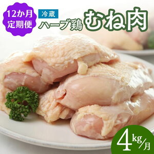 yӂ邳Ɣ[Łz{   n[u{ y4kg^12ցzv48kg Ɩp ނ˓ ① z Y B { l {ނ {  { l   12