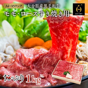 yӂ邳Ɣ[ŁzBY јa Ă A5 A4 Iׂyʏz^ 12z z Nz  500g~1kg  [X  Hה a Y ~ lC ₫  Ԃ 