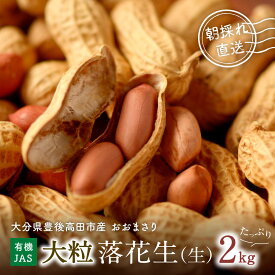 【ふるさと納税】大粒 落花生 おおまさり 2kg 有機栽培 有機JAS ピーナツ 産地直送 おつまみ 国産 豆 まめ らっかせい なま ピーナッツ おやつ お取り寄せ ふるさと納税 送料無料
