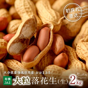 yӂ邳Ɣ[Łzs\ 嗱 Ԑ ܂ 2kg L@͔| L@JAS s[ic Yn ܂ Y  ܂  Ȃ s[ibc   ӂ邳Ɣ[ 