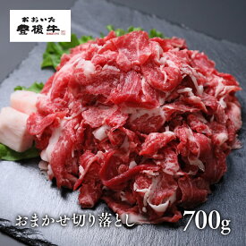 【ふるさと納税】黒毛和牛 350g×2P 計 700g おおいた 豊後牛 おまかせ 切り落とし