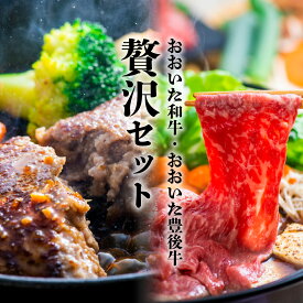 【ふるさと納税】ハンバーグ すき焼き 黒毛和牛 セット モモ ロース A5A4ランクすき焼き肉(500g)＆黒毛和牛100％ハンバーグ(100g×9個) 牛肉 肉 国産 ギフト 贈答 冷凍 送料無料
