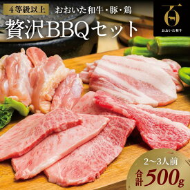 【ふるさと納税】黒毛和牛 A5 A4 おおいた和牛 豚バラ 鶏もも 焼肉 セット 合計 500g