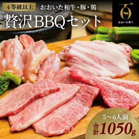 【ふるさと納税】黒毛和牛 おおいた和牛 豚バラ 鶏もも 焼肉 セット 合計 1050g 約 1kg