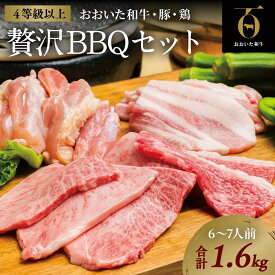 【ふるさと納税】黒毛和牛 A5 A4 おおいた和牛 焼肉 豚 バラ 鶏 セット 合計 1.6kg バーベキュー
