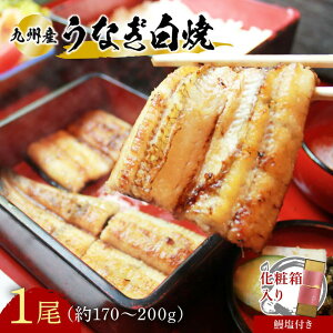 【ふるさと納税】【スピード発送】 うなぎ 志おや 九州産 鰻 白焼 1本 約 170〜200g うな塩 付 送料無料 ふるさと納税