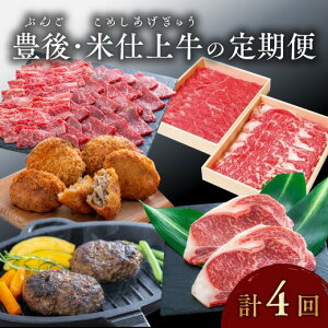 yӂ邳Ɣ[ŁzLEĎd㋍ Hאs  ͂ 4  Ԃ Xe[L no[O `Jc  ӂ邳Ɣ[ 