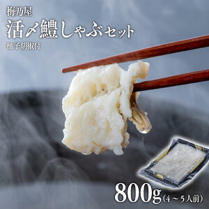 yӂ邳Ɣ[ŁzY  Ԃ Zbg (800g 4`5lO)  n ͂ CN   債 Hi 