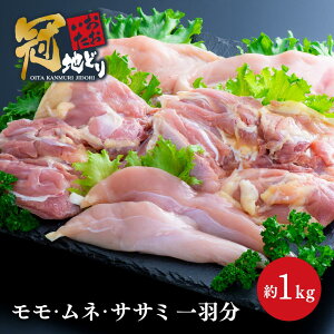 yӂ邳Ɣ[Łz{  ނ   1kg nǂ ^pbN  n{ Ƃ  l TT~ B Zbg `L 啪 Ⓚ