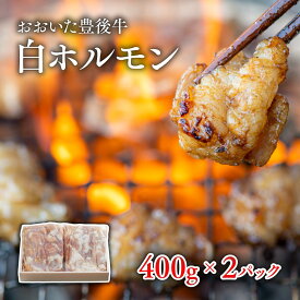 【ふるさと納税】おおいた 豊後牛 白ホルモン 400g × 2P 黒毛和牛 和牛 国産 ブランド牛 ホルモン 内臓 鍋 焼肉 もつ