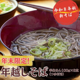 【ふるさと納税】年越しそば 用 R8秋 新そば 豊後高田そば（100g×8食・つゆ付） 12/17~28配送 年末 年内配送 なまそば 乾麺 年越し 送料無料 年内発送