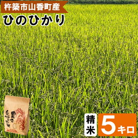 【ふるさと納税】 【 令和7年産米 】山香ゆうきの会の米 5kg（精米：ひのひかり） 5kg 米 ＜002-004＞