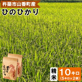 【ふるさと納税】 【 令和7年産米 】山香ゆうきの会の米 10kg（精米：ひのひかり） 10kg 米 ＜002-005＞