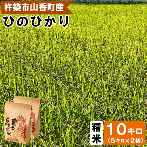 yӂ邳Ɣ[Łzy ߘa7NY V s\ zR䂤̉̕ 10kgiāFЂ̂Ђj V 10kg  s\ st 002-005