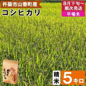 【ふるさと納税】【 令和7年産 新米 】山香ゆうきの会の米 5kg(精米:コシヒカリ) 新米 5kg 米 早場米 8月 9月 <002-021>